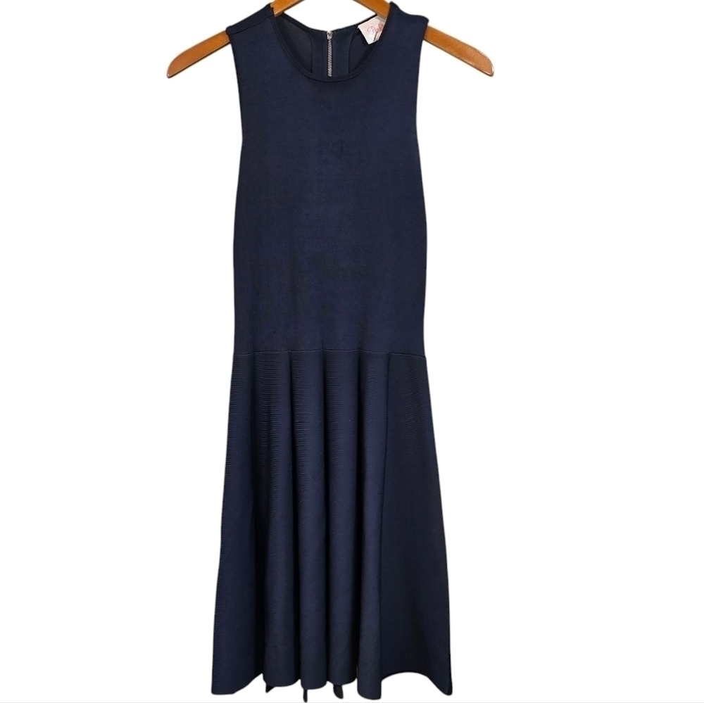 Parker Navy Blue Sleeveless Fit & Flare Stretch Knit Skater Mini Dress Size Lg.